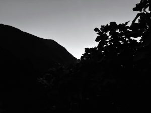 Dramatic Dusk