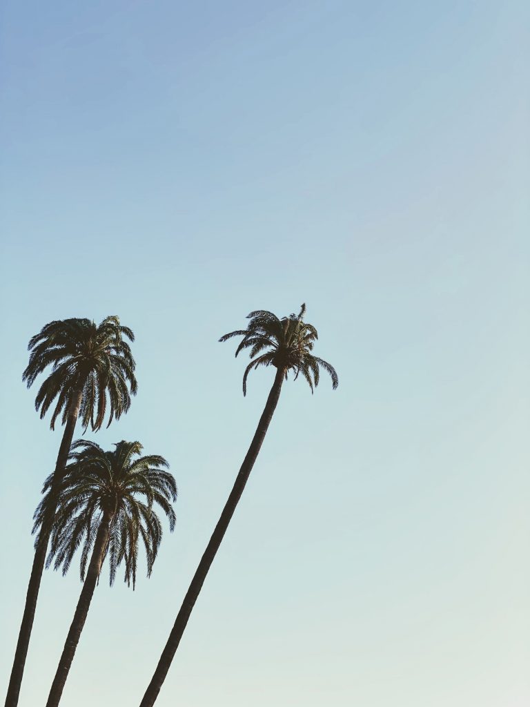 Three Points of Calm