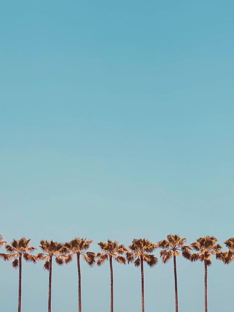 Where Summer Aligns