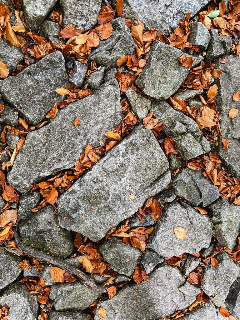 Fragments of Seasonal Order