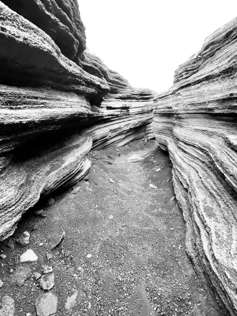 Natures Waves