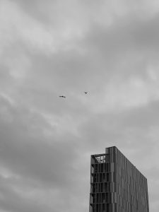 Search for the sky