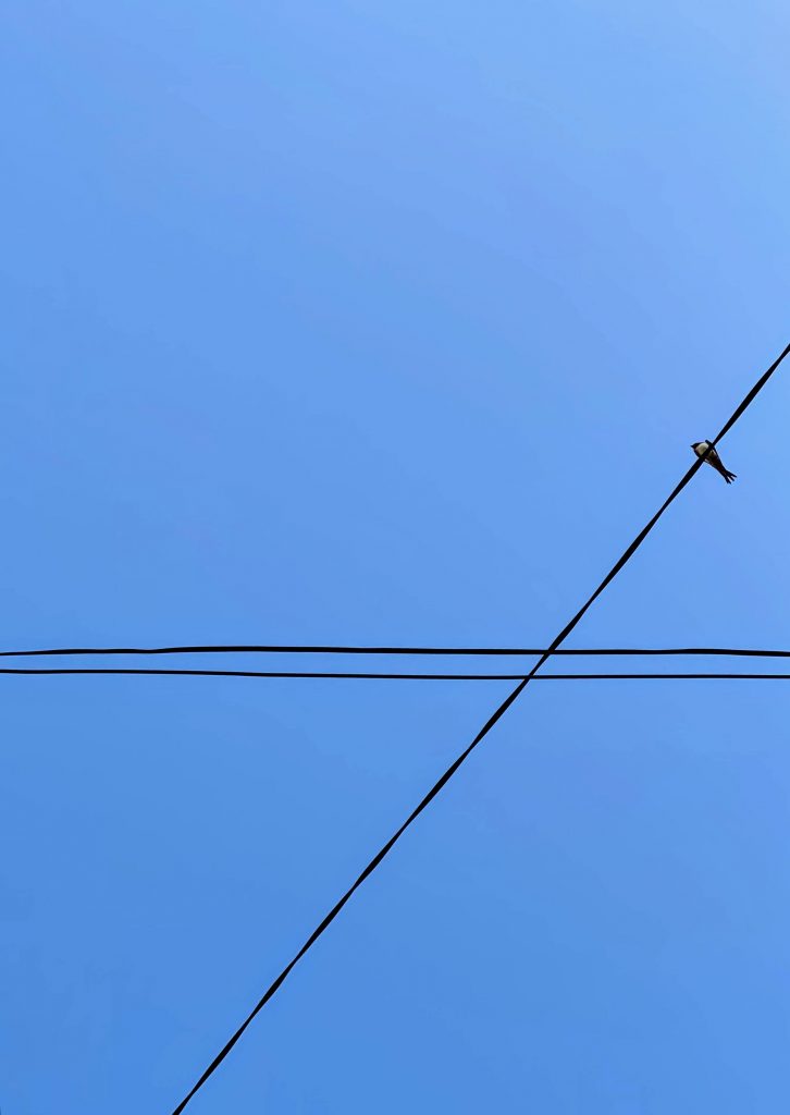 The Sky Holds a Moment