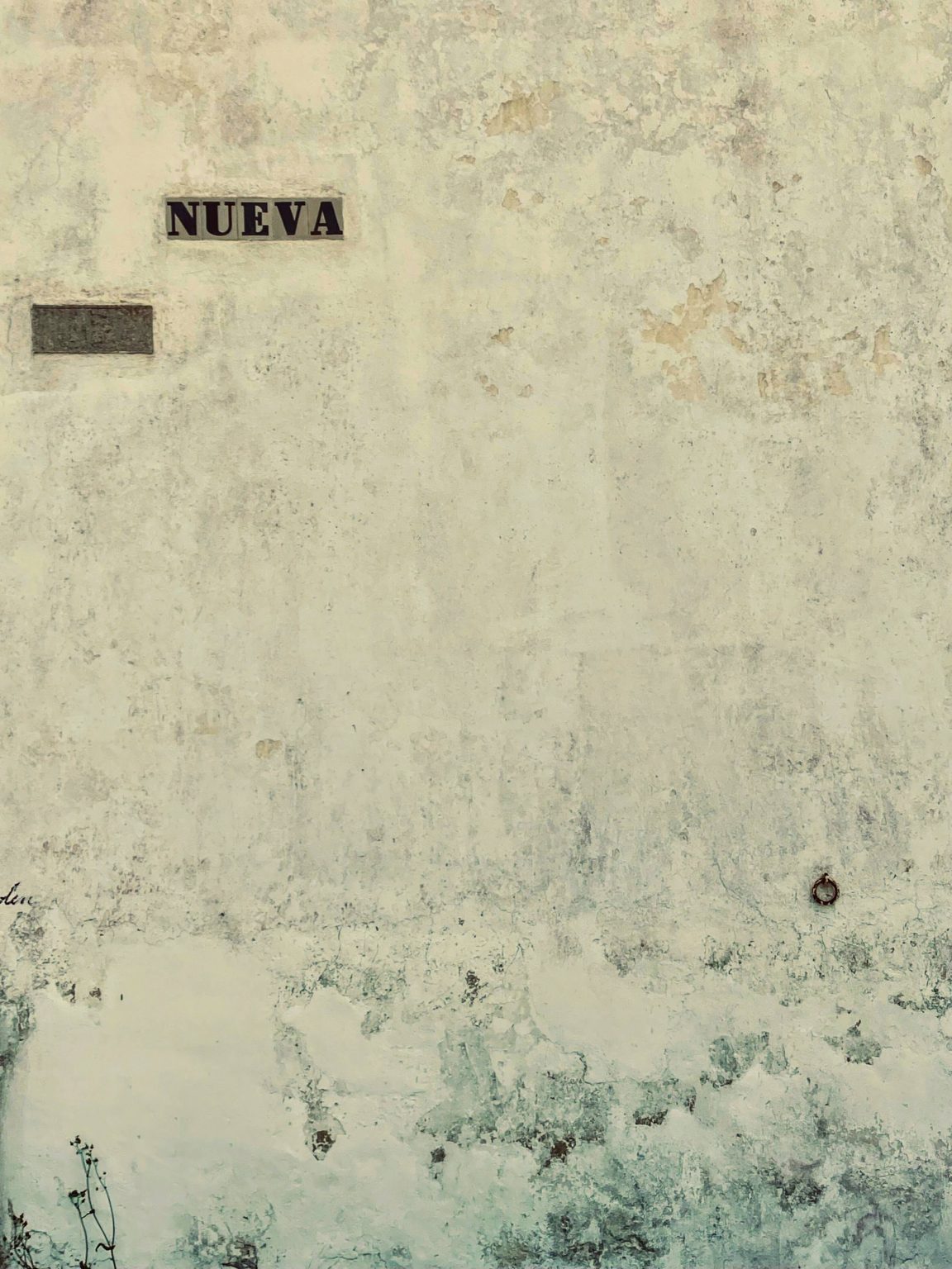 A Wall Called Nueva