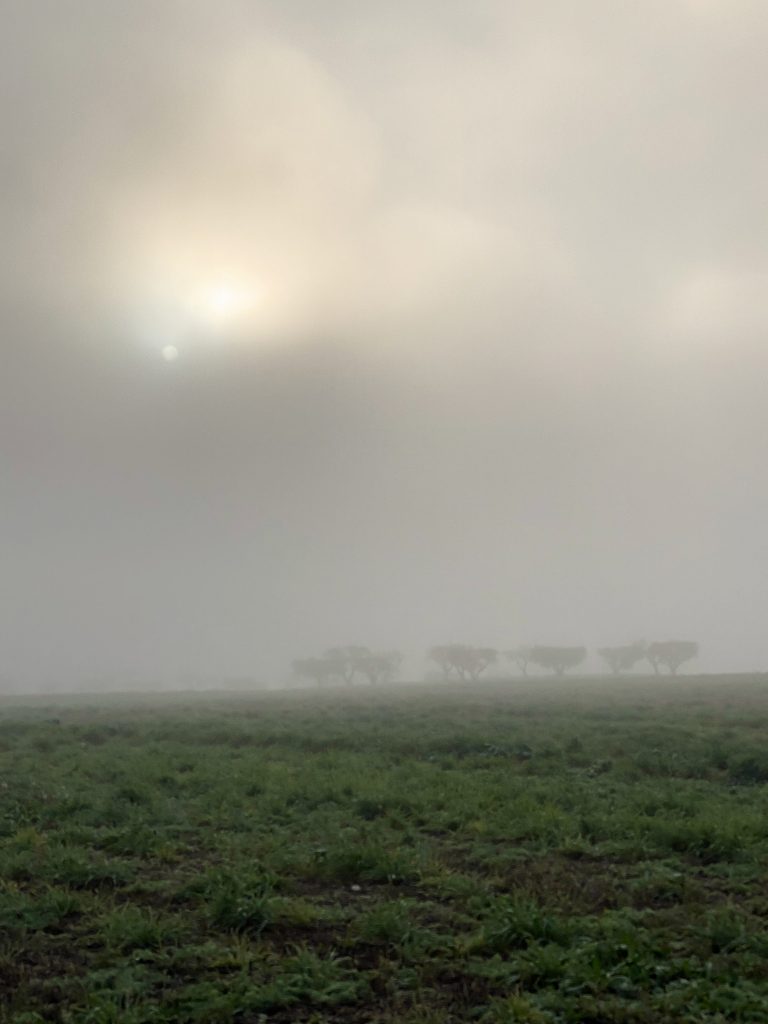 A Morning to Breathe
