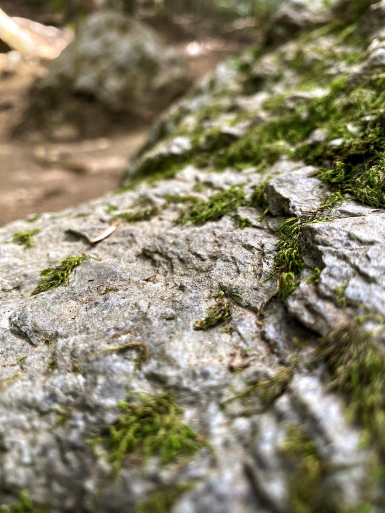 A Small Negotiation Between Green and Grey