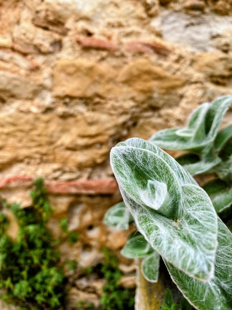 A Small Trick of Nature