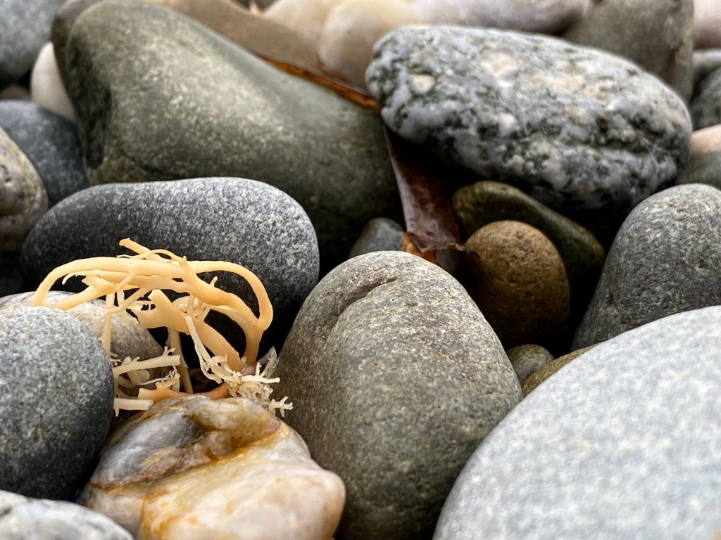 The Quiet Work of the Tide