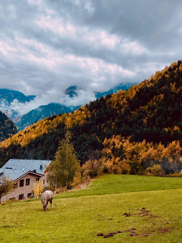 A Quiet Life in High Autumn