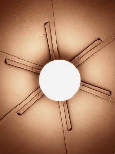 Where Light Finds Its Shape