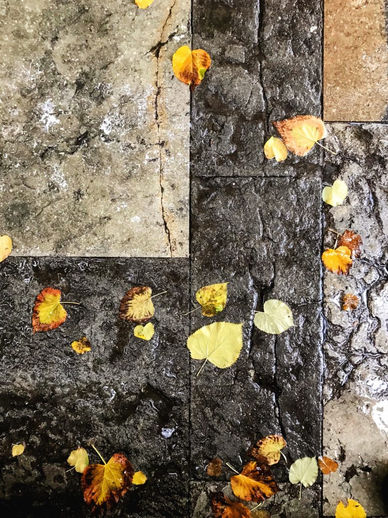 Autumn Finds Its Place